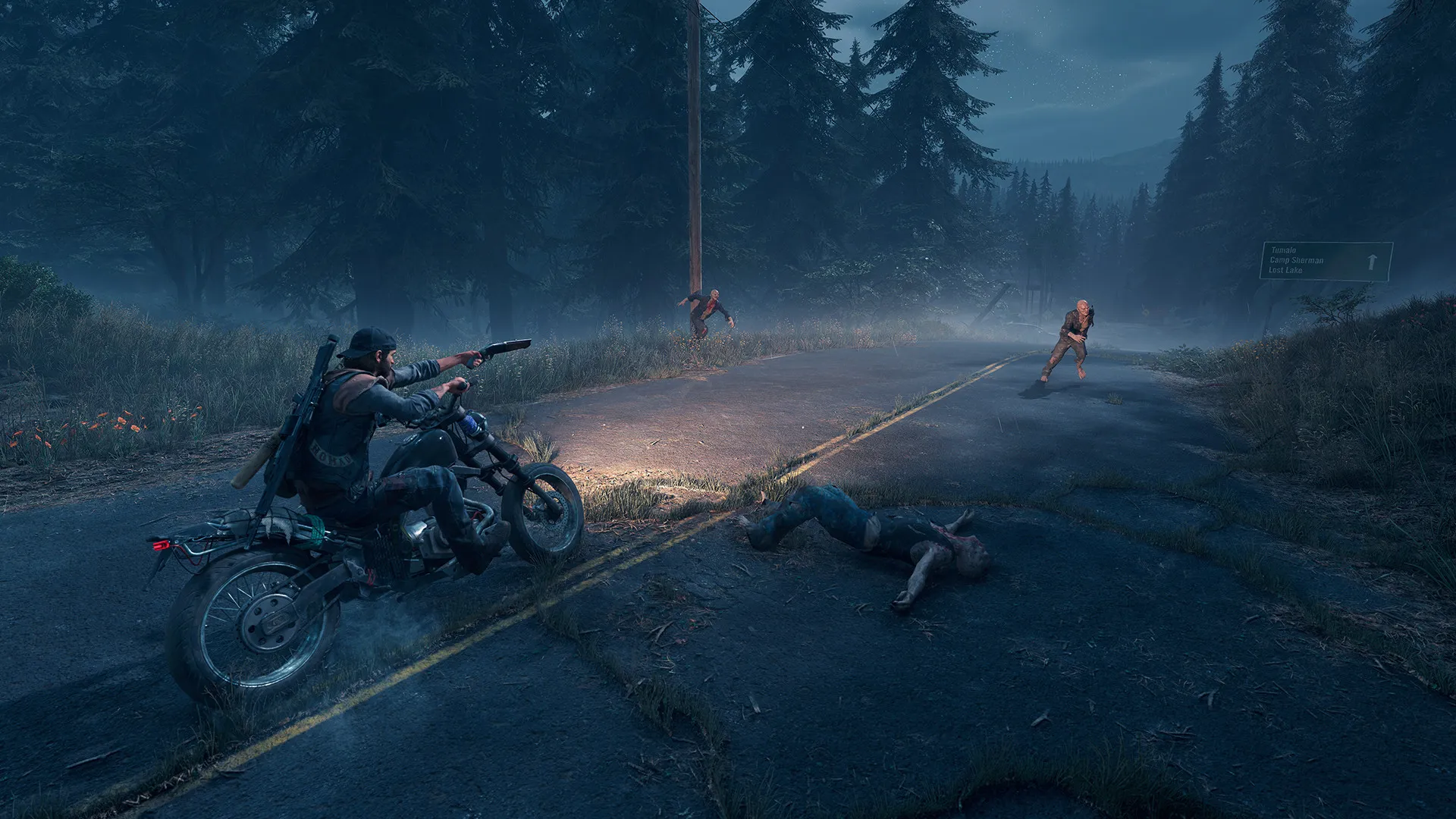 图片[7]-【steam】往日不再/Days Gone-鹿星语