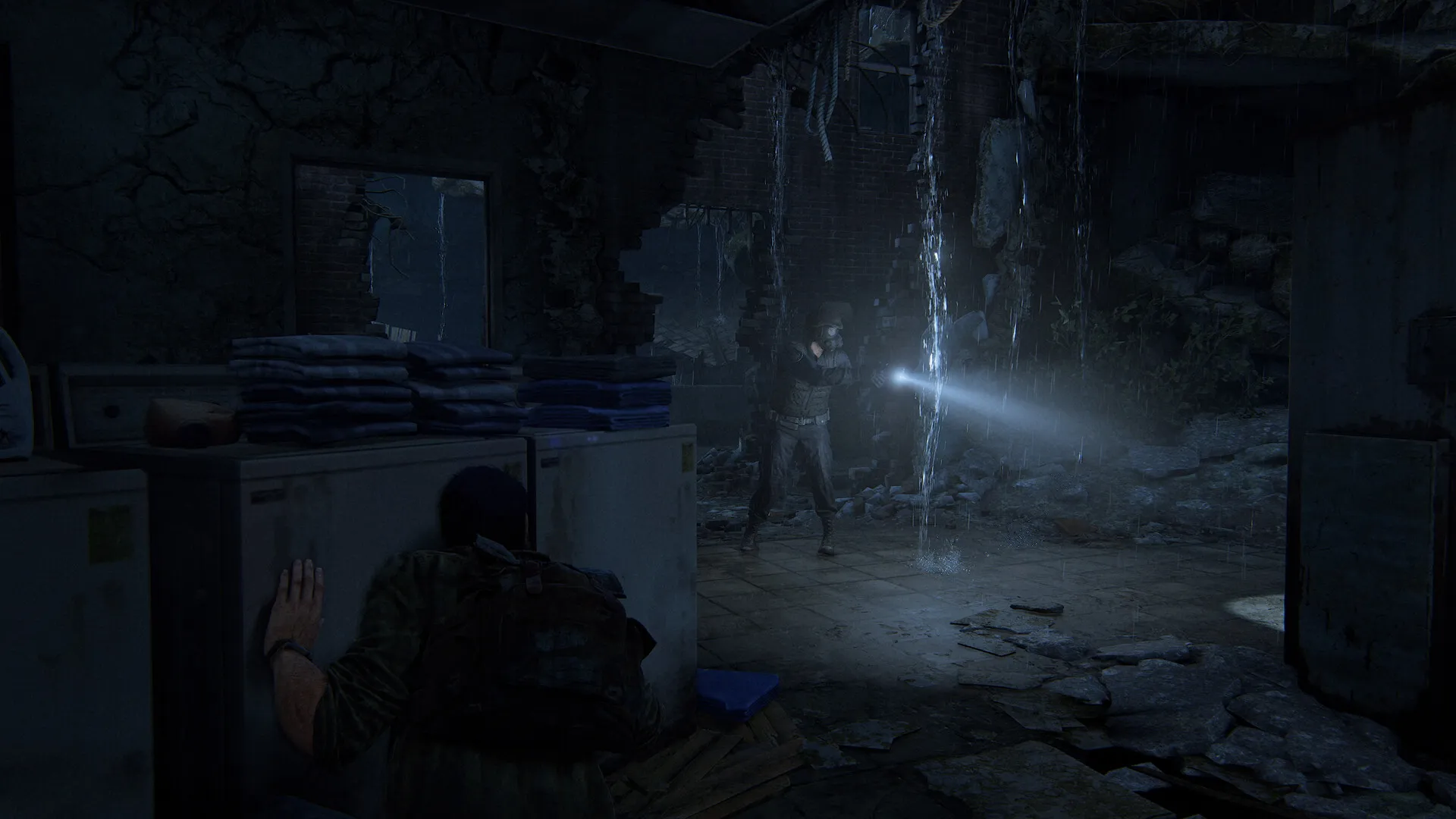 图片[12]-【steam】最后生还者：第一部/美国末日1/The Last of Us Part I-鹿星语