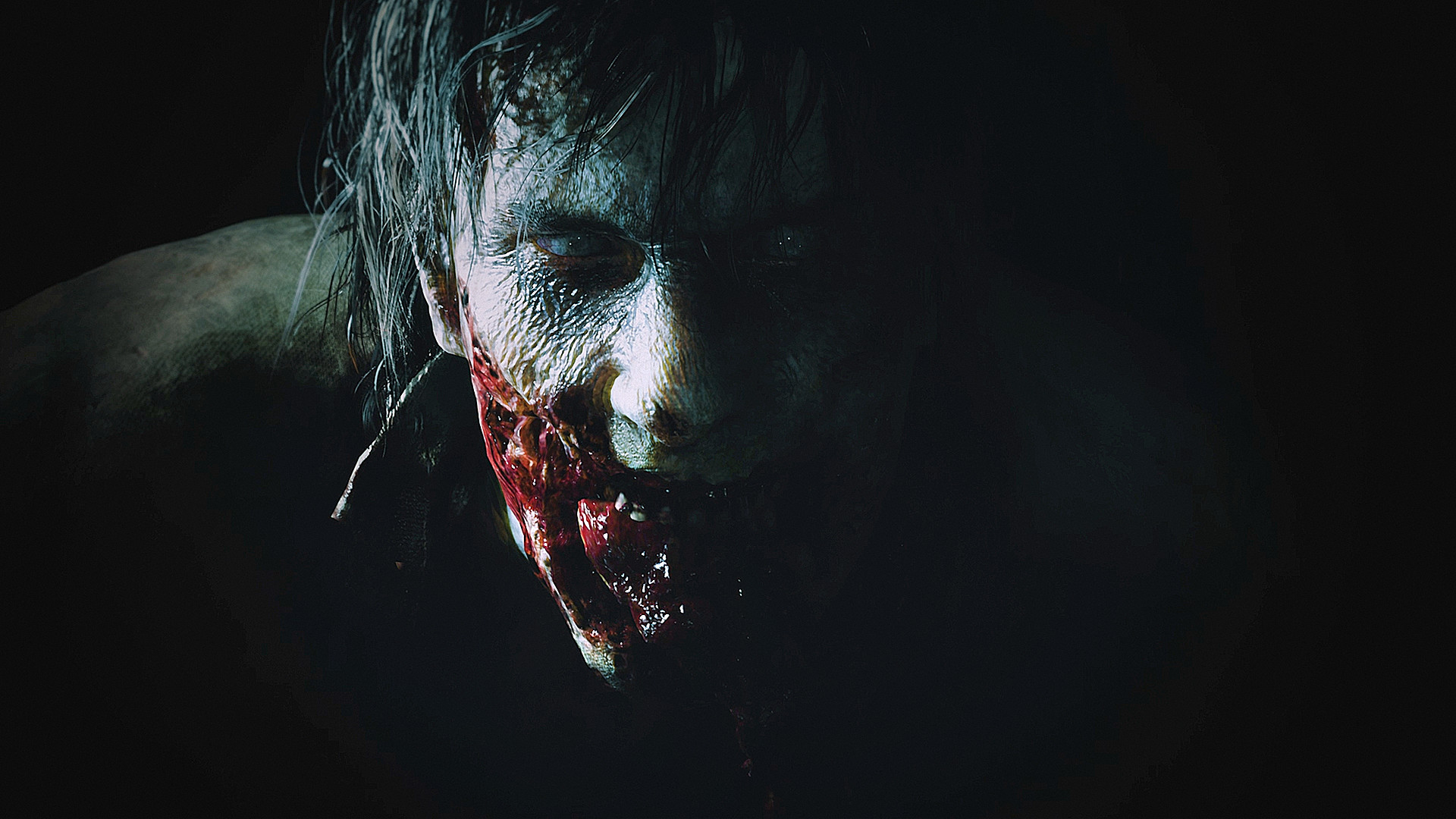 图片[2]-【steam】生化危机2：重制版/Resident Evil 2:Remake-鹿星语