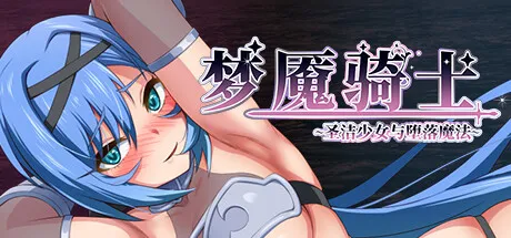 Nightmare Knight ~Sacred Maiden & Fallen Magic~ STEAM官中