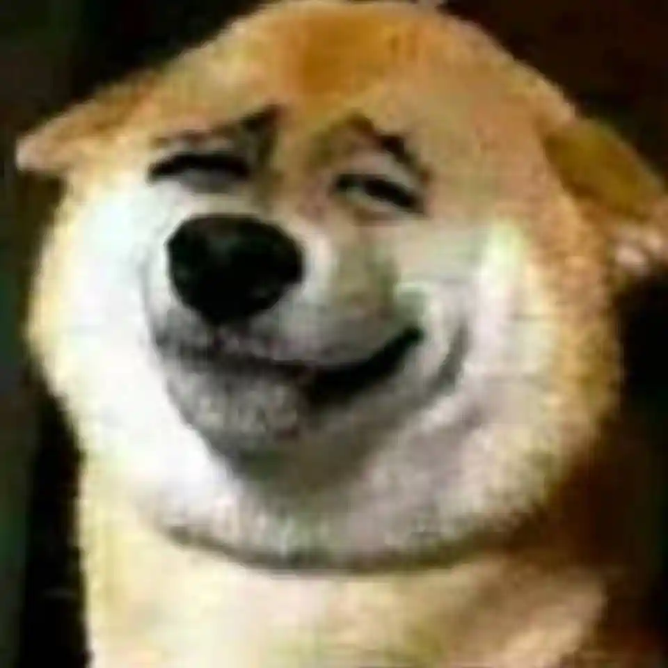 晚秋的头像-鹿星语