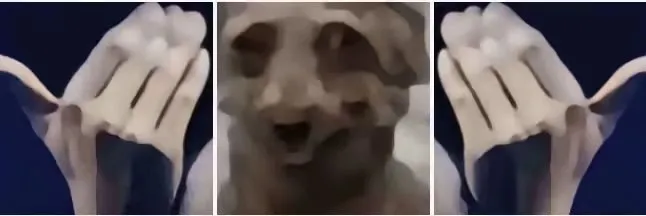 ws10086的头像-鹿星语